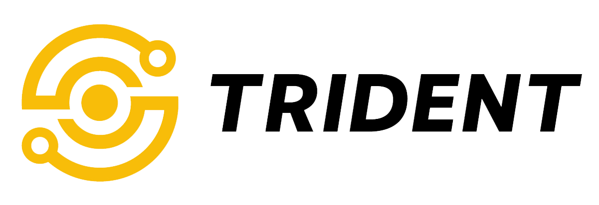 Trident Systems LLC logo